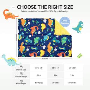 Couverture en peluche lestée pour l'autisme en gros Insugar Dinosaur Fleece Sleeping Calm Minky Dots Kids Hush Weighted Blankets - Product Image 4