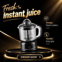 Elektrische draagbare citruspers blender 1200ml capaciteit AC motor stille multifunctionele milieuvriendelijke slowjuicer smoothie