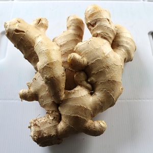 Bán Buôn Trung Quốc Trưởng Thành Siêu Hữu Cơ Gừng Tươi Chất Lượng Cao Khô Vàng Gừng Để Bán - Product Image 6