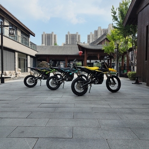 2026 Youth Motorcycle Offroad Pitbike Adjustable Suspension Racing Motocross Yellow - Product Image 3