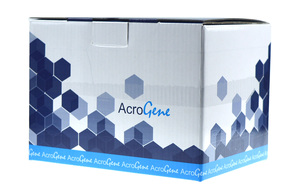 12 Days <strong>Christmas</strong> Advent Kraft Paper Box Rigid Cardboard Box for Holiday Surprise Gift Candy Packaging - Product Image 3