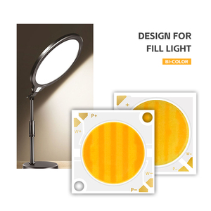 Échantillon gratuit - Lampe décorative à LED - Série 2828 - 30W-80W - 460/470/520/530/620/630nm - Puces LED carrées colorées COB - Product Image 1