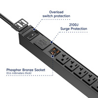 Unité de distribution d'alimentation 1U pour montage en rack 19 pouces, 9 prises US 125V 20A 2500W pour salle de serveurs avec protection contre les surtensions 2100J