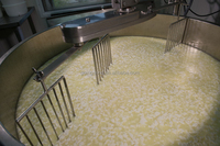 Machine à fabriquer du fromage à petite échelle bon prix mini machine à fabriquer du fromage-machine à fabriquer du fromage en vente