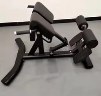 Chaise romaine réglable pour extensions dorsales, banc abdominal, équipement de fitness commercial et domestique en acier au carbone de haute qualité, personnalisable