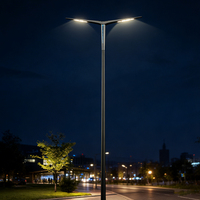 Nuevo Modelo 2026 de Farola LED para Exteriores, Alimentación CA, Alto CRI 70Ra, 100W/200W/300W, Cuerpo de Acero, Clasificación IP65