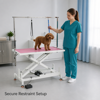 Table de toilettage pour animaux électrique hydraulique, réglable en hauteur, avec bras de toilettage, surface antidérapante et imperméable