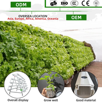 Système de jardin vertical hydroponique avec canaux NFT et pompe pour laitues et légumes, irrigation automatique, PVC durable