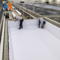 Géomembrane composite en géotextile non tissé de haute qualité anti-infiltration pour projet d'étanchéité souterraine de tunnels
