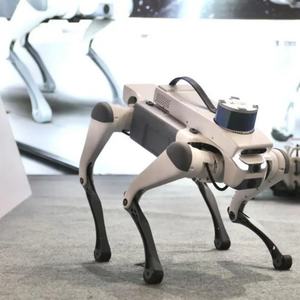 <span class=keywords><strong>Figurine</strong></span> de <span class=keywords><strong>patrouille</strong></span> de chien robot, jouet patte de chien robot - Product Image 3