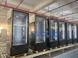 Tủ đông trưng bày thực phẩm đông lạnh nhiệt độ đơn 450L thẳng đứng với chức năng không có sương giá 5 Kệ tiết kiệm năng lượng - Product Image 4