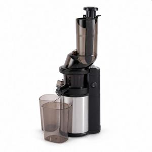 Extracteur de jus lent électrique en acier inoxydable de 600 ml avec moteur DC, fonction inversée et conception à mastication pour usage domestique - Product Image 1