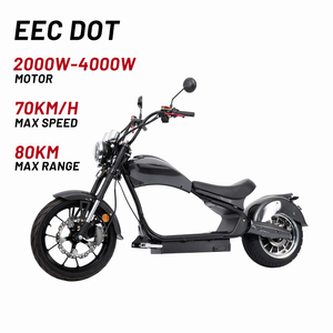 EU COC EEC US DOT Fett reifen Elektro roller Motorrad Citycoco Roller Fahrrad Für Erwachsene - Product Image 2