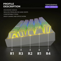 Le Keycap de caractère translucide de profil original brille à travers les Keycaps avec les Keycaps de clavier imprimés latéraux de profil d'OEM de technologie d'IMD