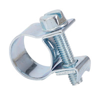 Factory Direct Sale Mini Hose Clamp Galvanized Iron and Stainless Steel for Heavy Industry & Auto Parts