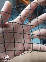 Filet à mailles pour oiseaux de haute qualité HDPE Raschel sans nœuds filet anti-oiseaux Monofilament Agriculture PE filet à oiseaux