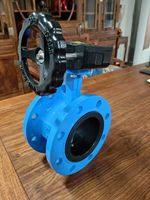 Vanne papillon à vis sans fin D341X PN16 avec siège EPDM en fonte ductile DN50-DN1200