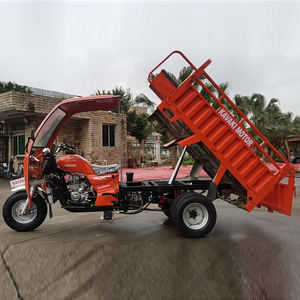 Triciclo de Carga de 5 Ruedas, Motocicleta de 5 Ruedas con Motor de Gasolina de 250cc, Motocicleta de Cinco Ruedas con Volquete - Product Image 4
