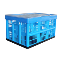 Caisse logistique pliable en plastique PP durable, robuste, pour le stockage domestique, design classique en maille solide, écologique et empilable