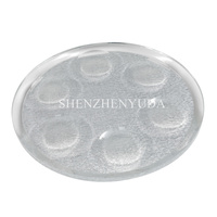 Plaque de fruits de pêche en Lucite avec fond scintillant en argent, de haute qualité