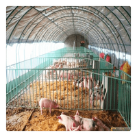 Conception de bâtiment d'élevage de porcs en ossature métallique préfabriquée, maison de porcherie préfabriquée