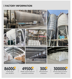 <span class=keywords><strong>Poudre</strong></span> de kaolin calciné blanc à haute plasticité, directement de l'usine, 50 kg/sac PP, pour additif de béton et application papetière - Product Image 6