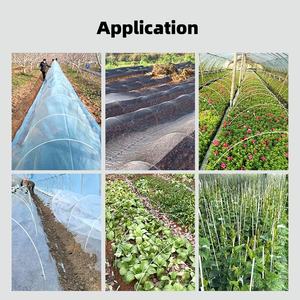 Varillas de fibra de vidrio para invernaderos, tubos y varillas de vidrio con servicio de corte, estacas para plantas con proceso de pultrusión - Product Image 3