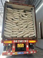 Gingembre Séché Épicé de Qualité Supérieure ZZH, Exportation 2026 de Chine