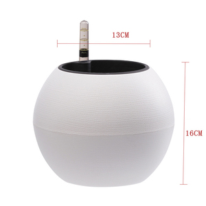 Kit de Cultivo de Bonsái Interior, Perlas de <span class=keywords><strong>Coco</strong></span>, Maceta con Autorriego y Luz LED de Cultivo - Product Image 4