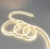 Lampu Strip Neon Fleksibel DC24V Lumen Tinggi IP67 13.5W/M Tahan Air Silikon untuk Dekorasi Taman/Lanskap