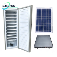 Congélateur vertical solaire hors réseau 198L, 11 niveaux, machine à glaçons DC, congélation rapide des blocs de glace pour les villages isolés