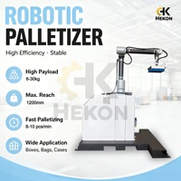 Paletizador Robótico de Alta Velocidad HEKON, Sistema Automático de Paletización, Robot para Paletizar Cajas, Bolsas, Alimentos y Bebidas
