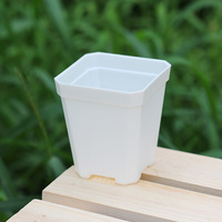 Macetas Cuadradas de Plástico Negro, Mini, Gruesas y Coloridas, para Suculentas y Plántulas, Uso en Hogar y Oficina, Venta al Por Mayor