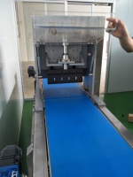 Wanlisonic meilleure vente machine à trancher le pain à ultrasons pour la coupe de bonbons aux arachides essentielle pour la fabrication du pain