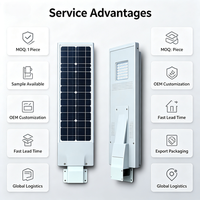 Lampadaire Solaire LED Tout-en-un de Haute Qualité à Bas Prix pour Autoroute et Jardin, IP65, Haute Luminosité, Prix Usine pour Extérieur