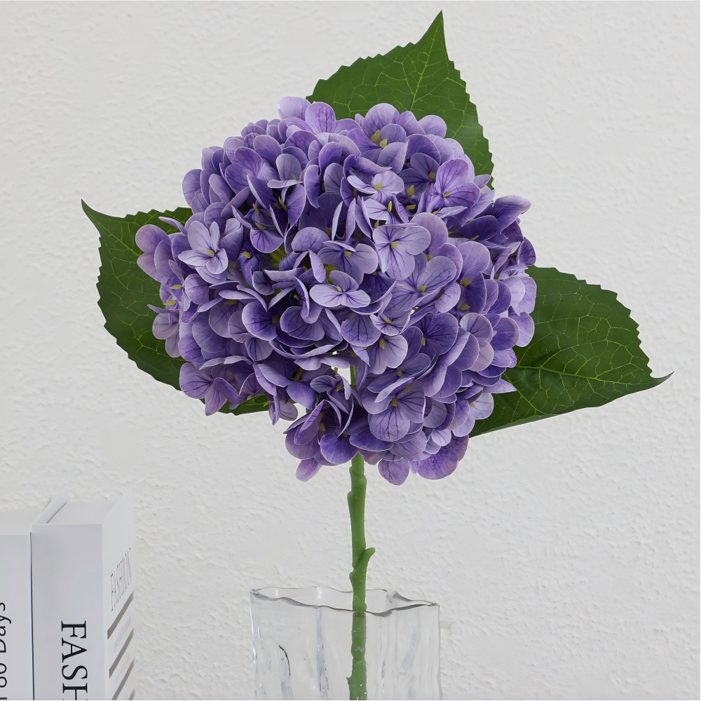 Pourpre