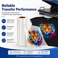Film DTF 30cm 60cm Lavable et Durable pour Impression sur T-shirt et Vêtement – Transfert Thermique à Chaud ou à Froid, Résistant à l'Eau