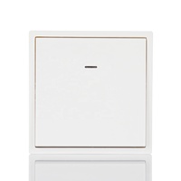 Interrupteurs muraux électriques européens à gros boutons avec indicateur Led 250V Interrupteur d'éclairage moderne à grande carte 1 groupe pour hôtel CE RoHs