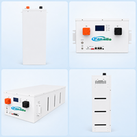 Batterie au lithium LiFePO4 16 kWh 51,2 V 314 Ah, montage sur rack, système solaire hors réseau pour système de stockage d'énergie domestique ESS