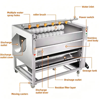 Rolborstelwasser voor fruit, groenten, kokosnoot, maïs, automatische suikerriet schil- en reinigingsmachine