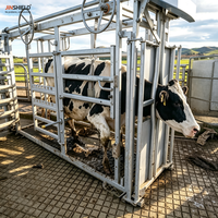 Chute d'encerclement et d'étranglement pour bétail, galvanisée, robuste, équipement d'agriculture pour la manipulation du bétail