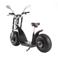Cee COC 60V 20Ah Citycoco batterie 2000W/3000W/4000W Eu entrepôt Scooter électrique avec adulte