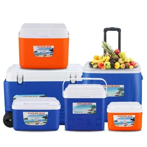 Alta Qualidade EPS Plásticos Ao Ar Livre Refrigerado Portátil Fresh-keeping Caixa De Pesca Do Carro Pequeno Cooler Box