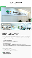 Baterai Lithium Lifepo4 48V Smart BMS |   Paket Baterai Surya Deep Cycle 50Ah 150Ah 100Ah 200Ah untuk RV/Kapal