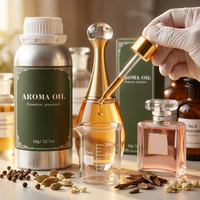 Diffuseur d'arômes d'huiles parfumées de luxe pour hôtels internationaux – Parfum hautement concentré pour la catégorie des produits olfactifs et aromatiques