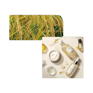Matière première cosmétique/soins capillaires agro-marine coréenne (usine OEM/ODM) - Product Image 1