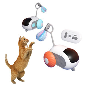 Thiết kế mớ<span class=keywords><strong>i</strong></span> bán buôn đ<span class=keywords><strong>i</strong></span>ều khiển từ xa tương tác mèo đồ chơ<span class=keywords><strong>i</strong></span> cho mèo trong nhà - Product Image 3