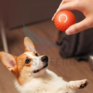Yeni elektrikli akıllı interaktif Tpr köpek kovalamaca oyuncak top otomatik aktif haddeleme topu küçük köpekler için - Product Image 3