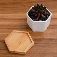 Pot de fleurs en céramique hexagonal petit et pratique, décoration de bureau intérieure et extérieure, design personnalisé