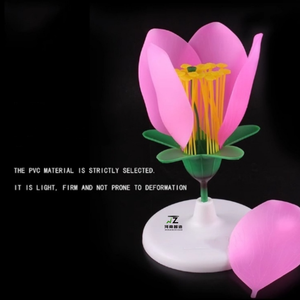 Modelo de Anatomía Estructural de Pétalos y Estambres de Flor de Durazno, Tamaño Real, Maniquí de PVC Avanzado para Educación Médica y Científica - Product Image 4